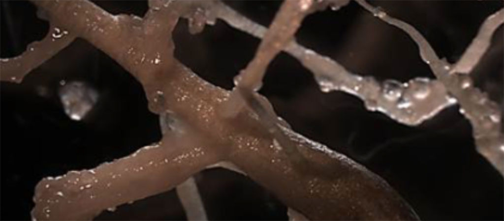 nitrogen particles closeup